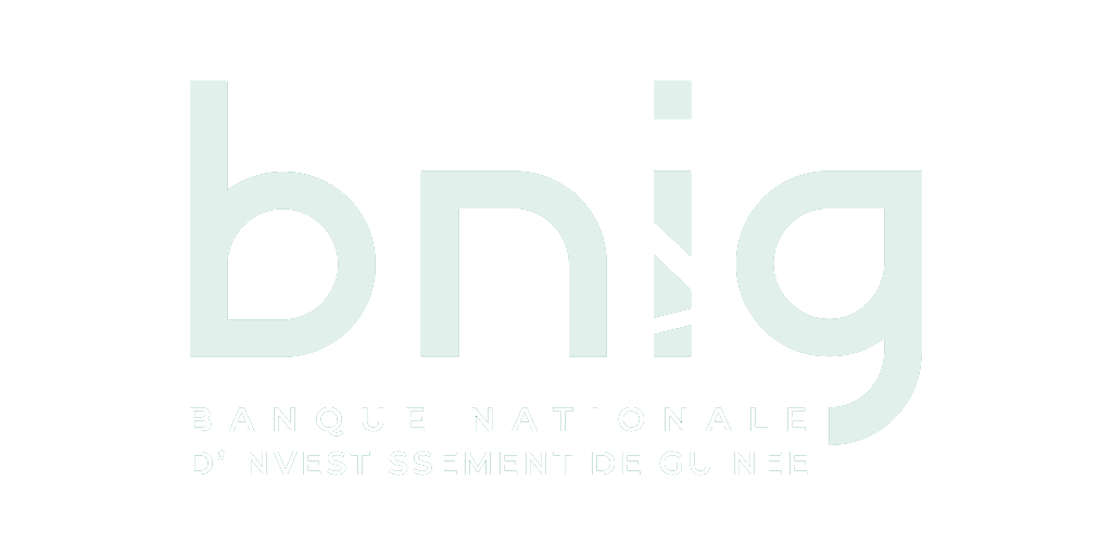 Banque Nationale d'Investissement de Guinée